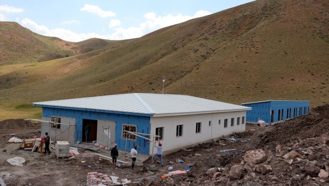 Hakkari'deki doğal yaşam alanlarında 1686 sahipsiz köpek barındırılıyor