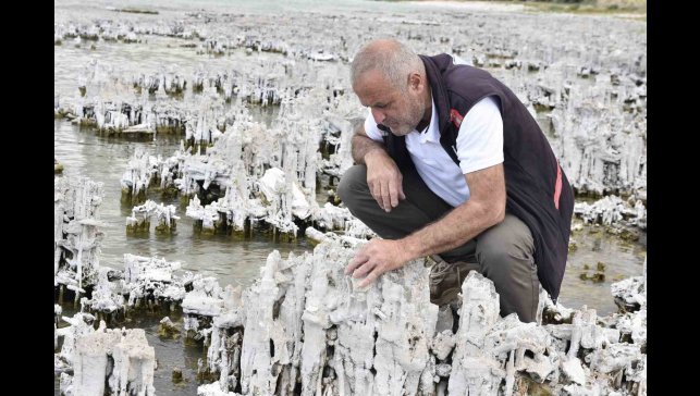 Van Gölü'nde şu ana kadarki en büyük mikrobiyalit görüntülendi