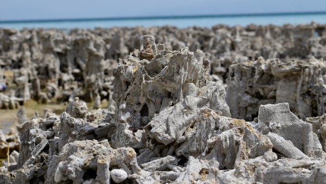 Dalgıçlar Van Gölü'nün derinliklerindeki mikrobiyalitleri görüntüledi