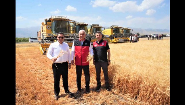 Muş'ta milyarlık hasat başladı