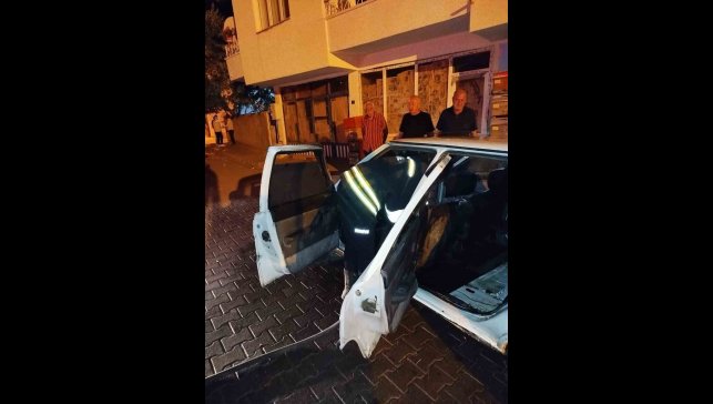 Bingöl'de park halindeki araç alev aldı