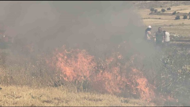 Tatvan'da örtü yangını