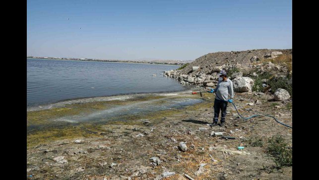 Van'da kent zararlılarına karşı ilaçlama çalışması