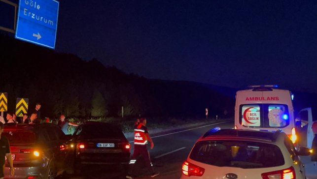 Ardahan'da iki otomobilin karıştığı kazada 4 kişi yaralandı