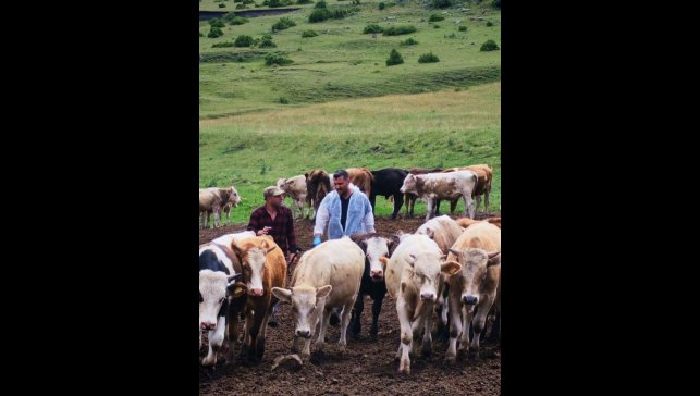 Ardahan Valiliği'nden şap açıklaması