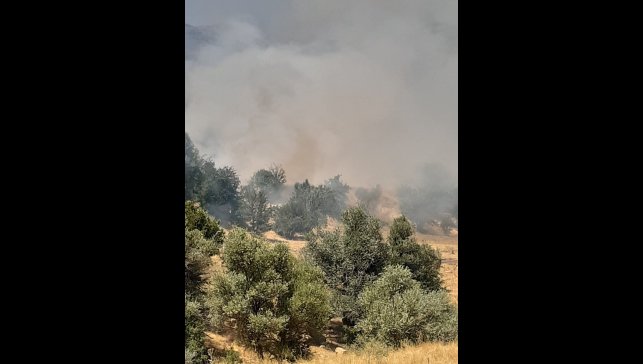Tunceli'de çıkan yangın büyük ölçüde söndürüldü