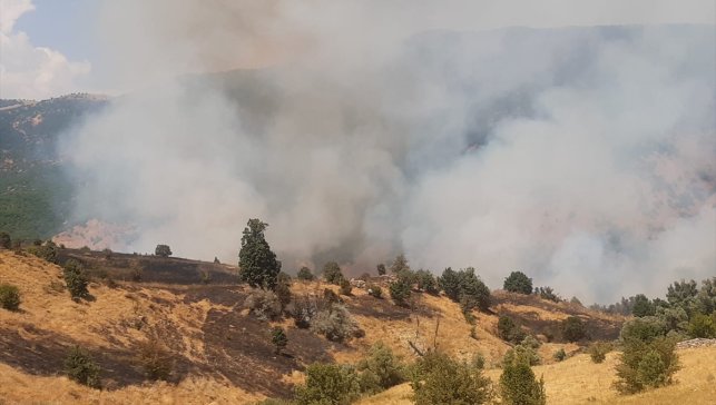 Tunceli'de çıkan örtü yangınına müdahale ediliyor