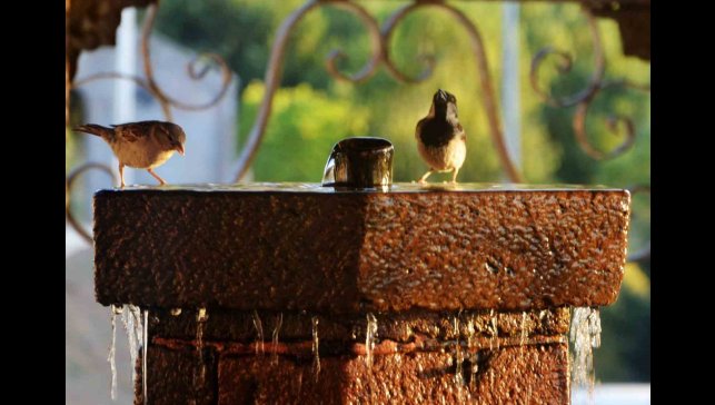 Erzurum ve çevresi için kavurucu sıcaklık uyarısı