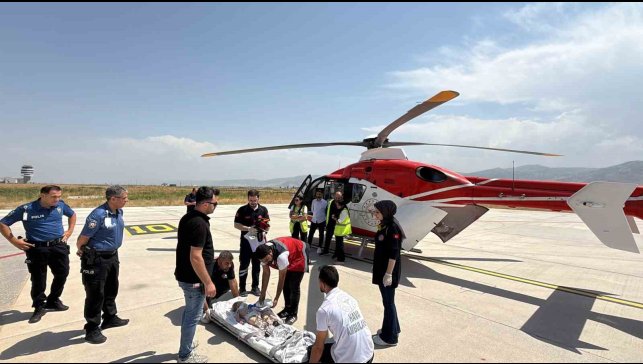 9 aylık bebek ambulans helikopterle Elazığ'a sevk edildi