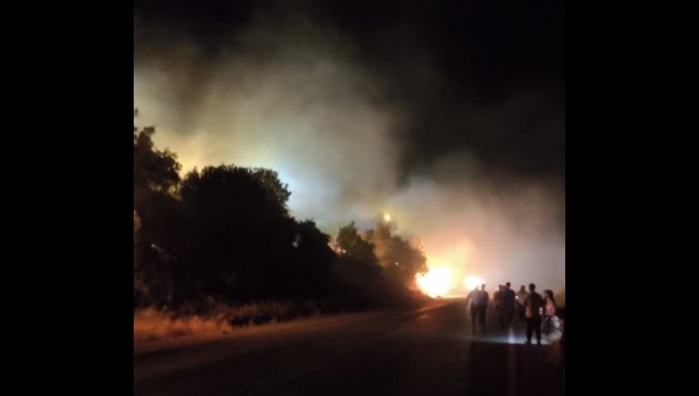 Hakkari-Çukurca karayolu üzerinde orman yangını çıktı
