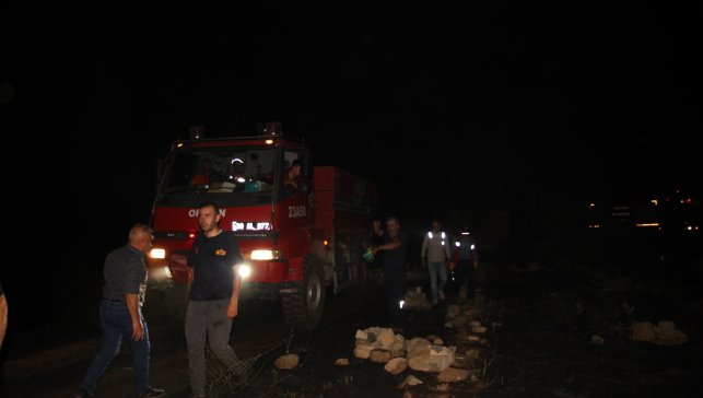 Hakkari'de ağaçlık alanda çıkan yangın kontrol altına alındı