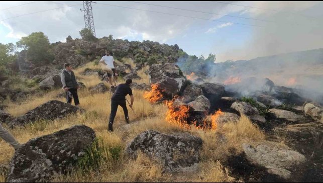 Bitlis'te örtü yangını