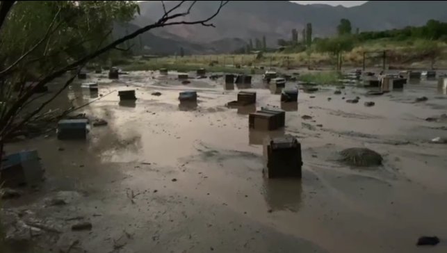 Kars'ta sel felaketi: Arı kovanları sular altında kaldı