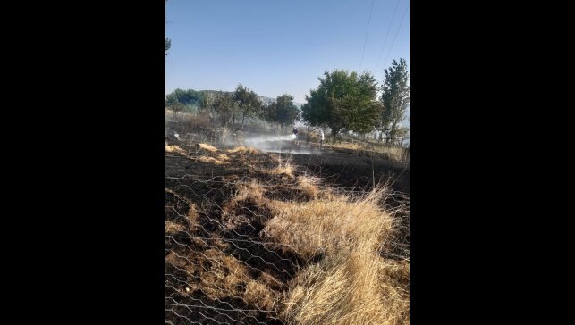 Tunceli'de otluk alanda çıkan yangın ekiplerin müdahalesiyle söndürüldü