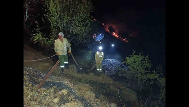 Ahır ve samanlıkta çıkan yangın ormanlık alana sıçradı, müdahale sürüyor