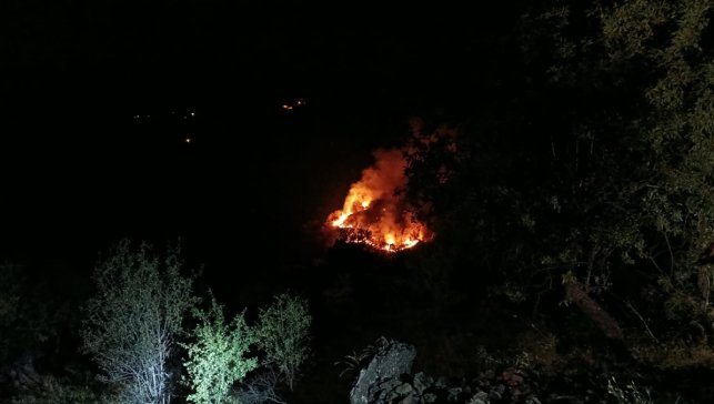 Elazığ'da çıkan örtü yangınına müdahale ediliyor