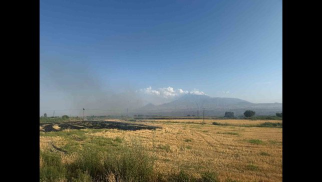 Iğdır'da çıkan anız yangını gün boyu sürdü