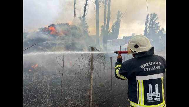 Hınıs'ta ot yangını