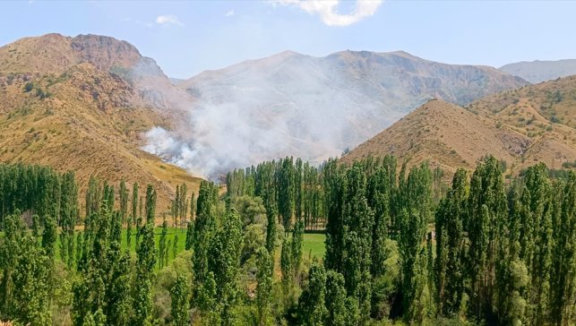 Erzurum'da çıkan örtü yangını söndürüldü