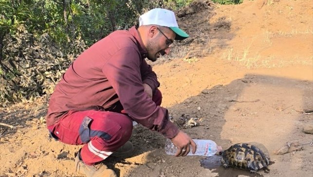 Bingöl'de çıkan orman yangınlarına müdahale ediliyor