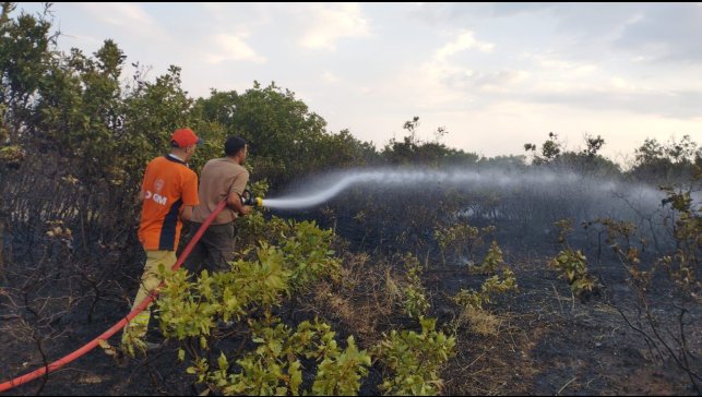 Bingöl'deki orman yangını kontrol altına alındı