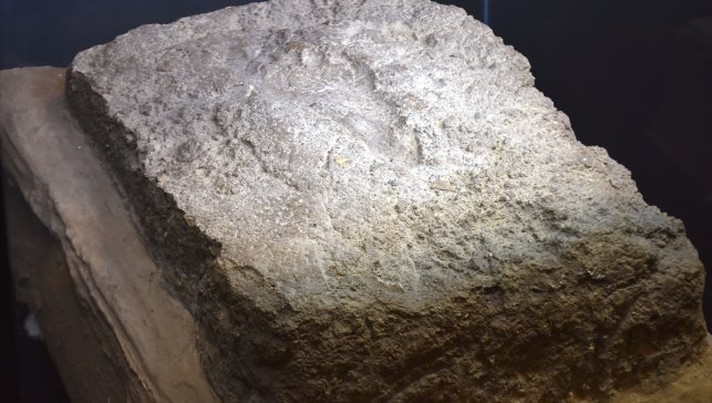 Urartulara ait kadın ayak izi Van Müzesi'nde ilk kez sergileniyor