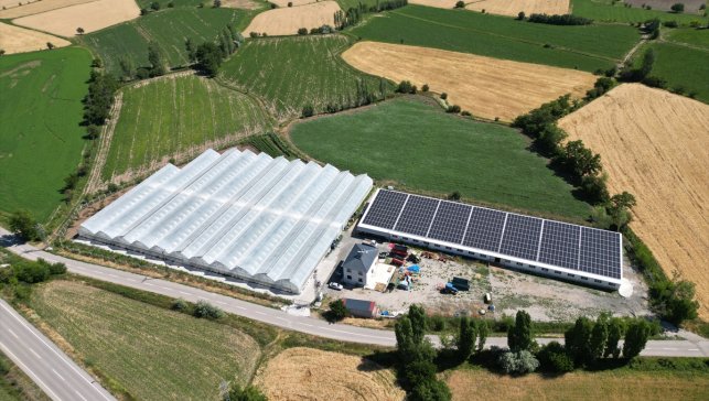 Erzincanlı genç girişimci devlet desteğiyle kurduğu modern çiftlikte tarım ve hayvancılık yapıyor