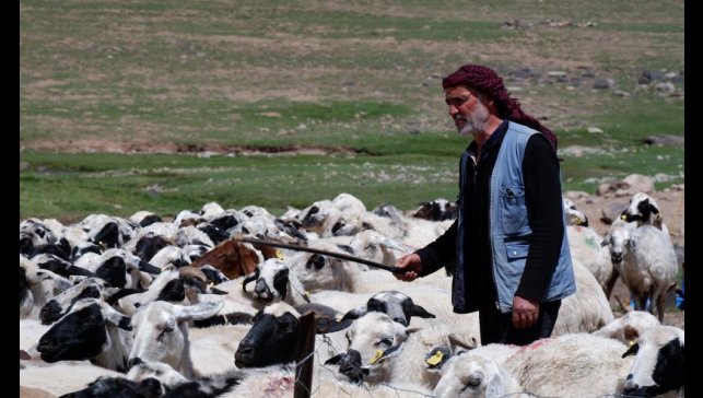 Yetiştiricilere 127,7 milyon TL kredi desteği