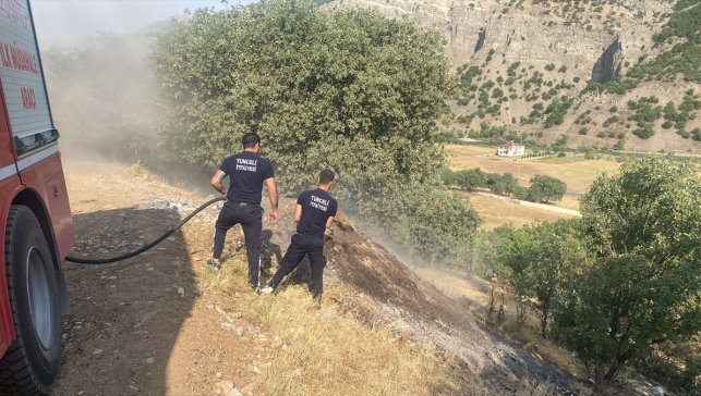 Tunceli'de ormanlık alanda çıkan yangın söndürüldü