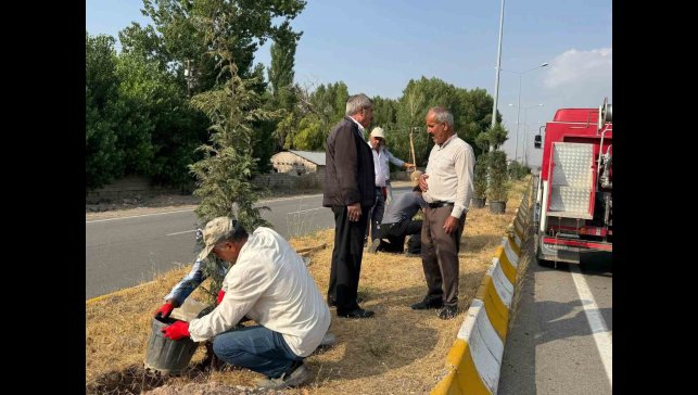 Patnos'ta yeşil alan çalışmaları sürüyor