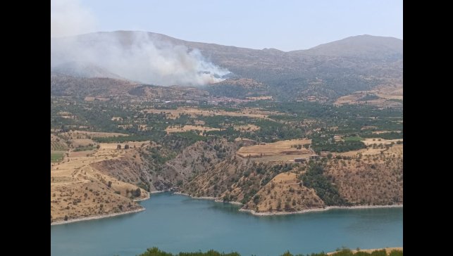 Malatya'da orman yangınına havadan müdahale