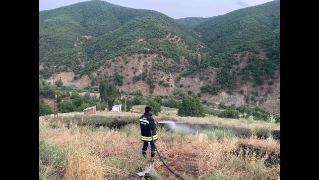 Bingöl'de çıkan örtü yangını söndürüldü