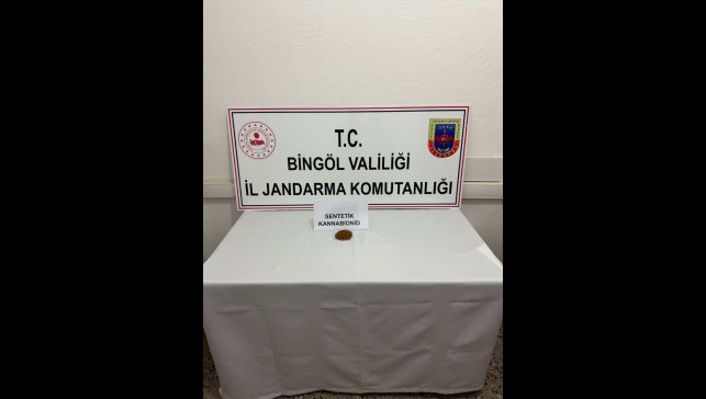Bingöl'de 746 kök Hint keneviri ile sentetik uyuşturucu ele geçirildi