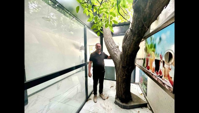 Van'da asırlık ceviz ağacı iş yerinin ortasında yaşatılıyor