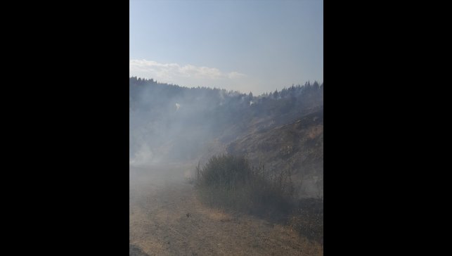 Malatya'nın Pütürge ve Doğanyol ilçelerindeki orman yangınlarına müdahale ediliyor