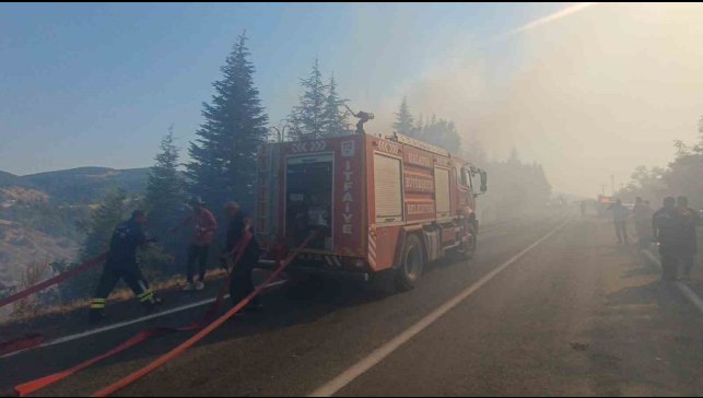 Malatya'daki orman yangınına havadan ve karadan müdahale sürüyor