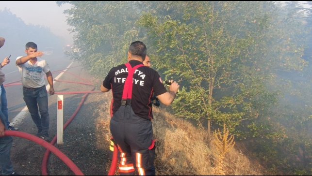 Malatya'daki orman yangınları kontrol altına alındı