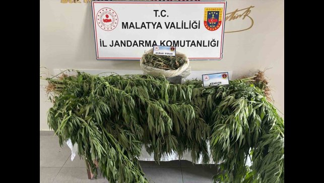 Malatya'da jandarmadan uyuşturucu operasyonu