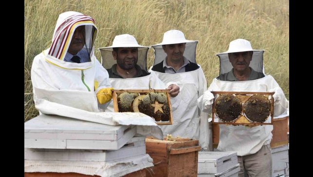 Bitlis Eren Üniversitesinde yüksek kaliteli bal hasadı başladı
