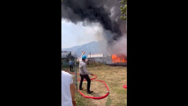 İspir'de ormanlık alanda yangın