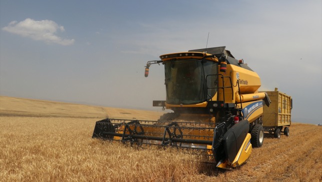 Ağrı Valisi Mustafa Koç, kentteki arpa ve buğday hasadına katıldı