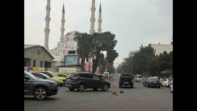 Iğdır'da etkili olan fırtına hayatı olumsuz etkiledi