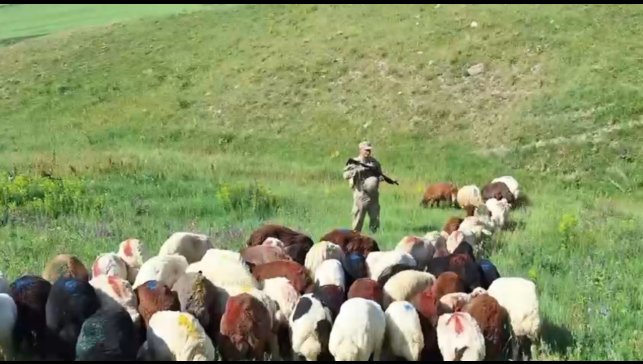 Kars'ta kayıp küçükbaş hayvanlar bulundu