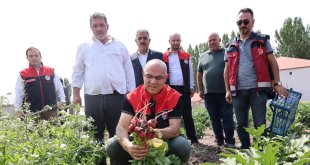 Ağrı'da hibeli sebze üretimi meyvesini verdi, hedef 14 bin ton verim