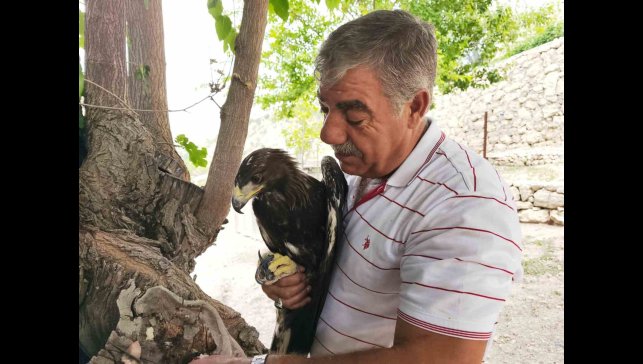 Kaya kartalı ile şahsın dostluğu görenleri şaşırtıyor