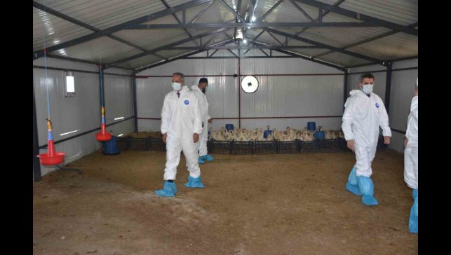 Bulanık'ta "Kaz Yetiştiriciliği" projesi kapanış programı gerçekleştirildi