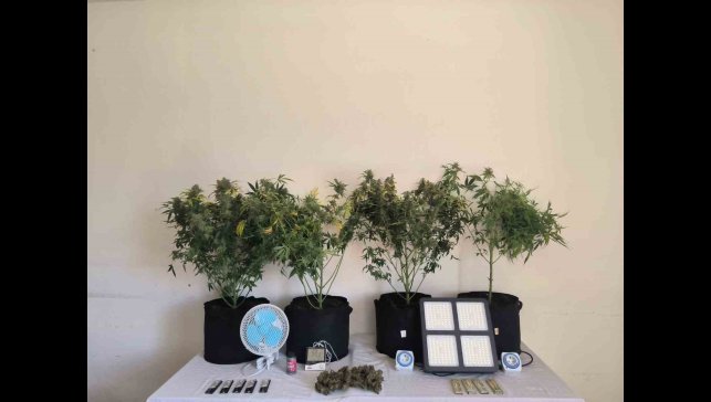 Tunceli'de jandarmadan uyuşturucu operasyonları: 10 gözaltı