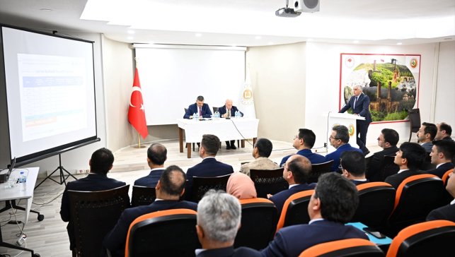 Erzurum'da kırsaldaki çoban köpekleri mikroçip takılarak sahiplendirilecek