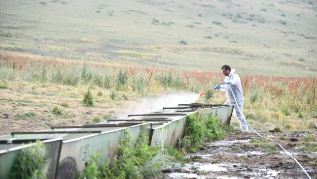 Ardahan Valisi Hayrettin Çiçek, şap hastalığı bilgilendirme ve dezenfeksiyon çalışmalarına katıldı
