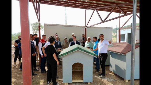 Bitlis'teki hayvan barınağı ve doğal yaşam alanı çalışmaları